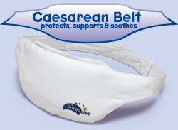 C Section Belt