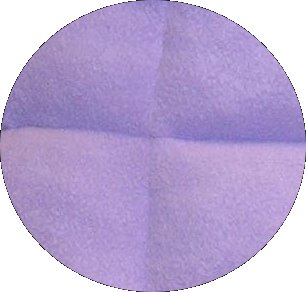 lilac-closeup (15K)